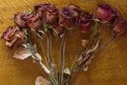 Dried Roses - #3