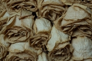 Dried Roses - #7-1